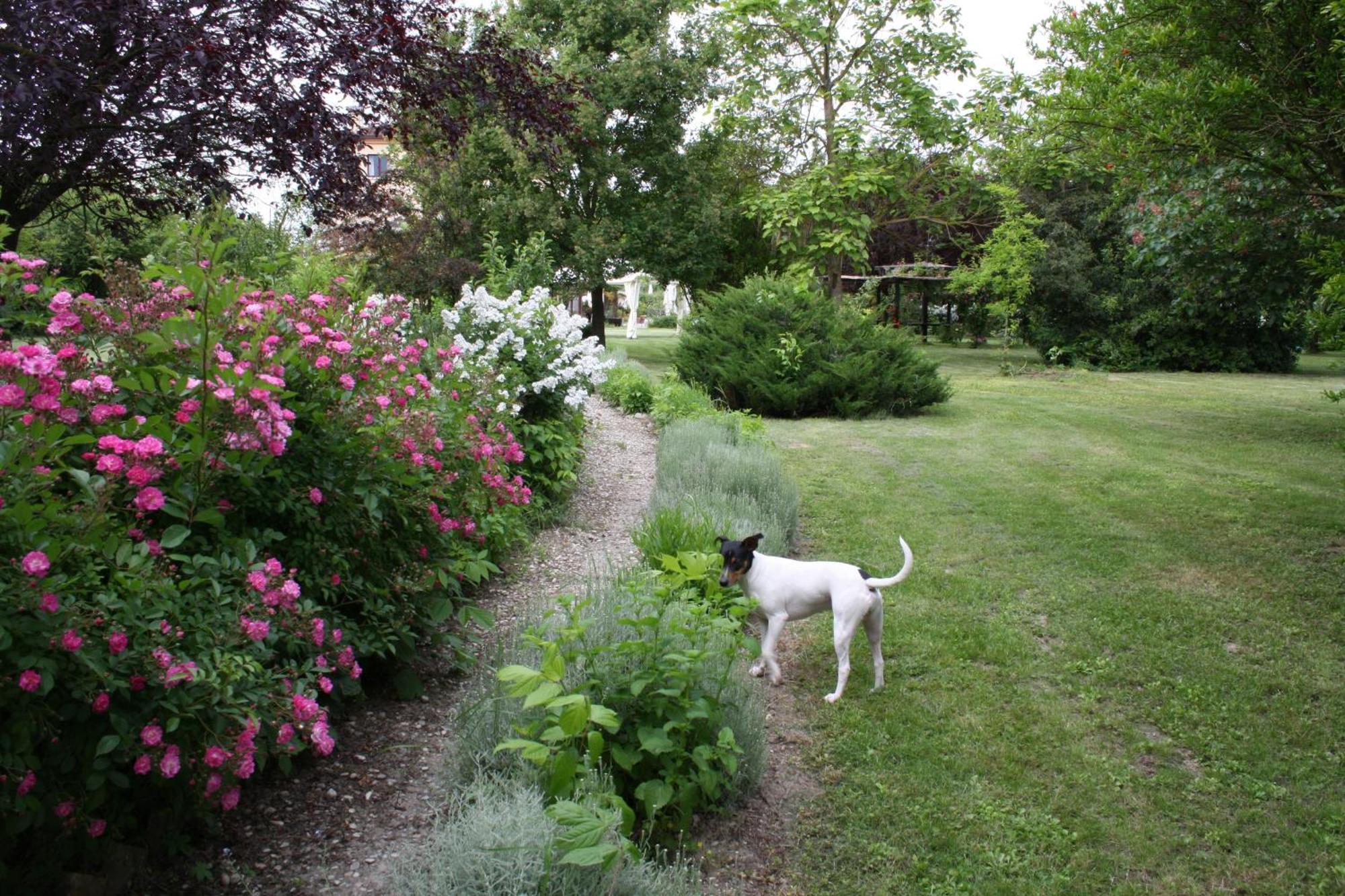 Villa Belfiore Ostellato Bagian luar foto