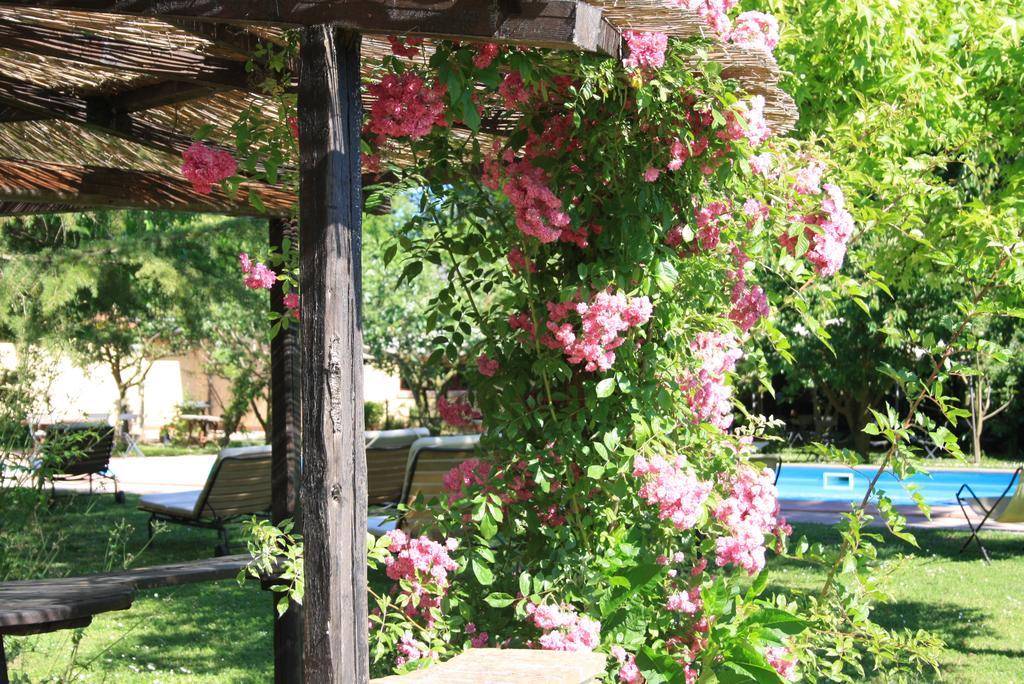 Villa Belfiore Ostellato Bagian luar foto